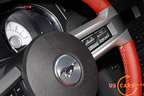 2010_mustang_detail_a2.jpg (123kb)