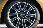 2010_mustang_detail_e3.jpg (149kb)