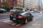 2010_mustang_ny_c5.jpg (392kb)